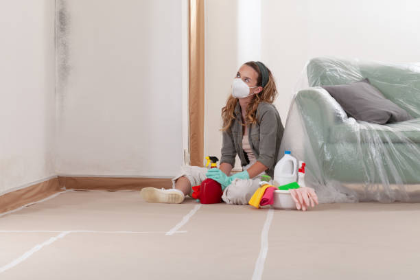 Reliable Mold Removal contractor in Halifax, PA by WQB Mold Removal